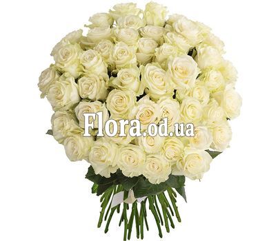 45 imported white roses