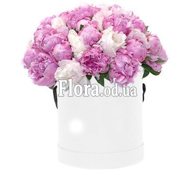 45 peonies in a hat box