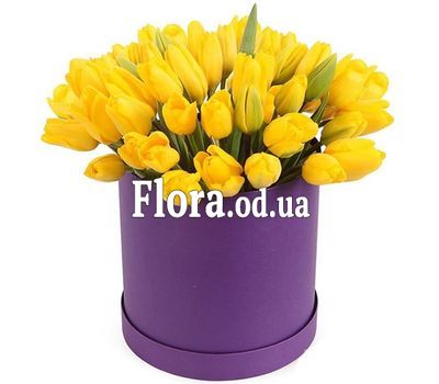 45 яскравих тюльпанів в коробці