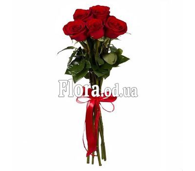 5 красных импортных роз