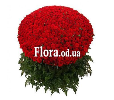 501 красная роза 70 см