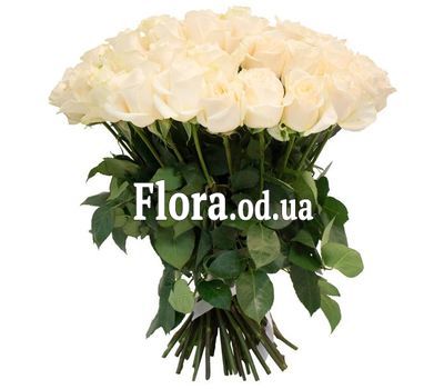 51 біла троянда 60 см