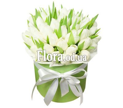 51 white tulip in a box