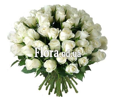 51 імпортна біла троянда