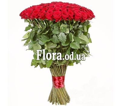 51 imported roses 1 m. 51 imported roses 1 m.