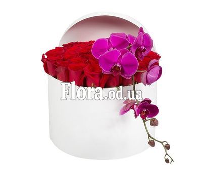 51 красная роза с орхидеей в коробке
