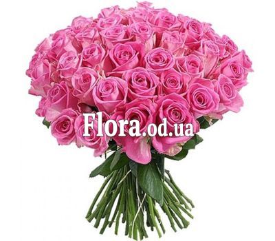 51 pink roses 60 cm