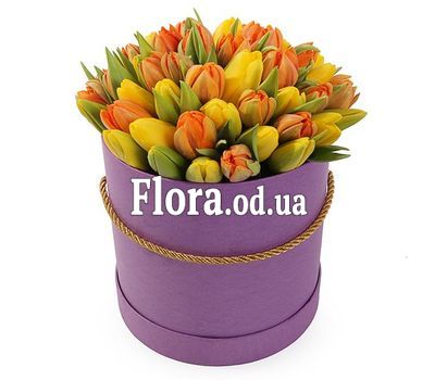 51 bright tulip in a box
