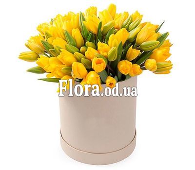 51 yellow tulip in a box