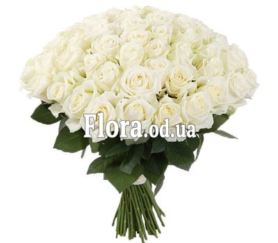 55 white roses