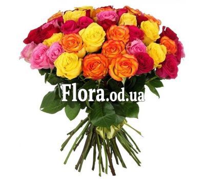 55 різнокольорових троянд 55 різнокольорових троянд