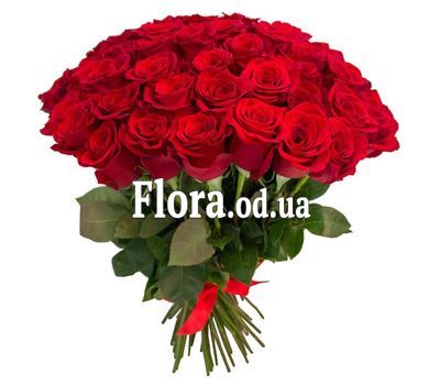 65 красных роз 60 см