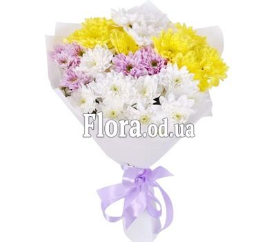 7 разноцветных хризантем