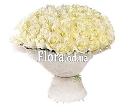 75 white roses 60 cm 75 white roses 60 cm