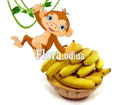 Бананы и игрушка обезьянка