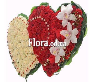 Big heart of roses Big heart of roses