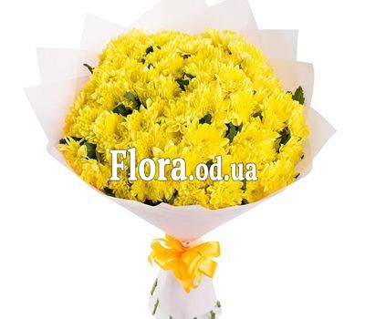 Bouquet 13 chrysanthemums