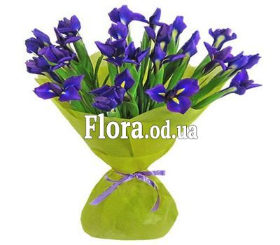 Букет 21 синий ирис