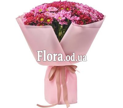 Bouquet of 25 chamomile chrysanthemums