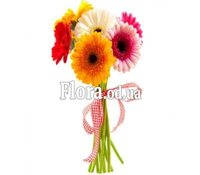 Bouquet 7 different colored gerberas