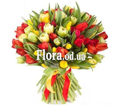 Bouquet of 75 Tulips