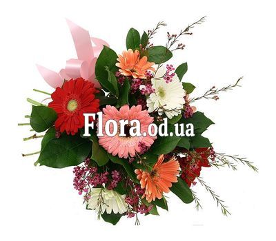 Букет 9 різнокольорових гербер