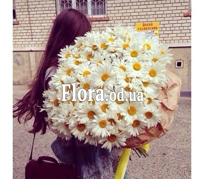 Bouquet of 101 chamomile flowers