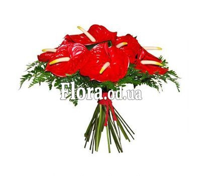 Букет из 11 антуриумов