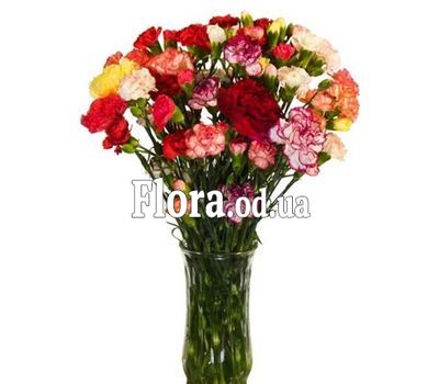 Букет из 15 кустовых гвоздик