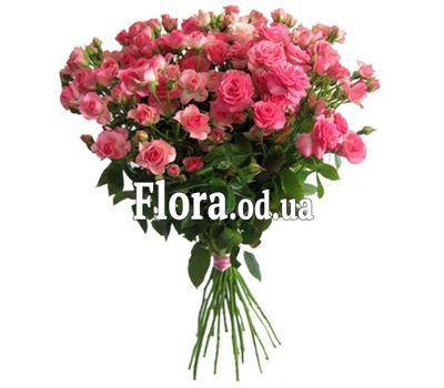 Bouquet of 15 roses spray