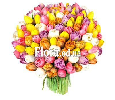 Букет из 151 тюльпана