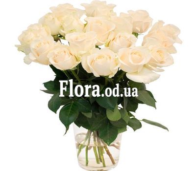 Букет из 19 белых роз