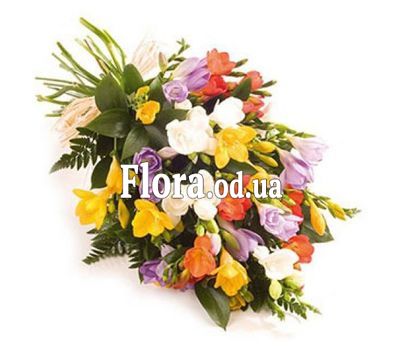 Букет з 19 фрезій