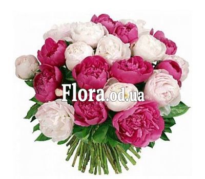 Букет з 19 імпортних півоній