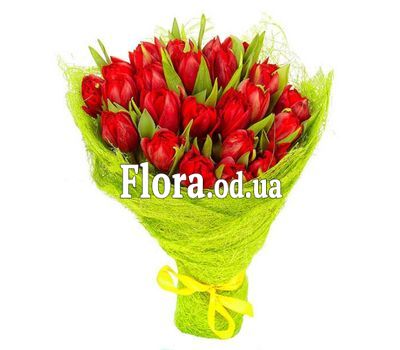 Букет из 19 красных тюльпанов Букет из 19 красных тюльпанов