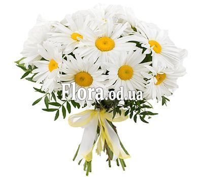 Bouquet of 19 chamomiles