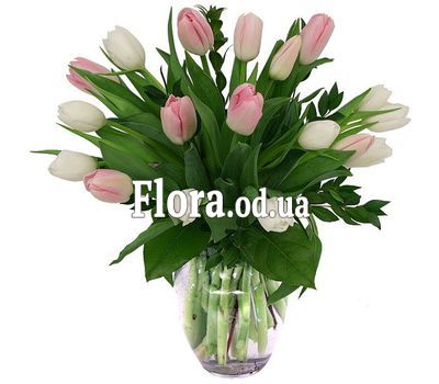 Букет з 19 тюльпанів Букет з 19 тюльпанів