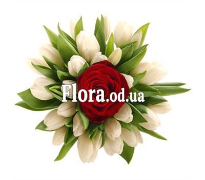 Букет из 20 тюльпанов с розой