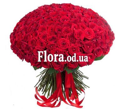 Букет из 201 розы 70 см