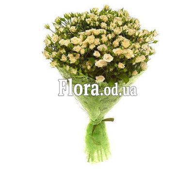 Bouquet of 21 roses-spray