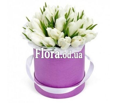 Букет з 25 білих тюльпанів в коробці