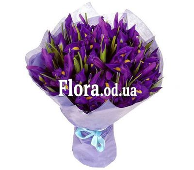 Bouquet of 25 irises