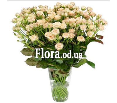 Bouquet of 25 roses spray