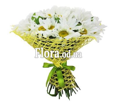 Bouquet of 25 chamomiles