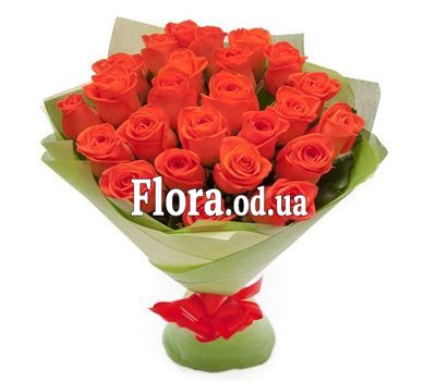 Bouquet of 25 roses