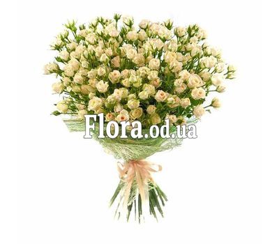 Bouquet of 27 roses spray