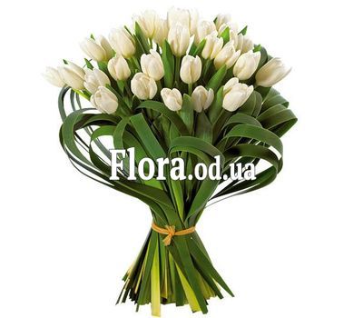 Букет из 29 белых тюльпанов