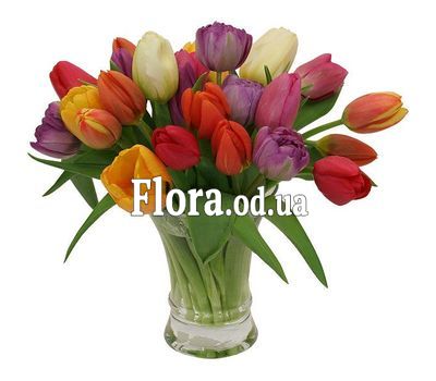 Bouquet from 29 multi-colored tulips