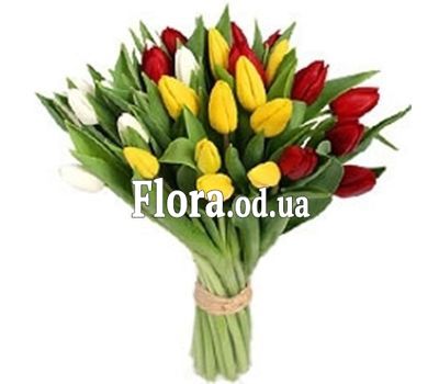 Букет з 29 різнокольорових тюльпанів