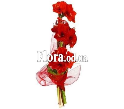 Букет из 3 амариллисов